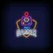 Pro Gamer Joystick Neon Sign - Imprint Now - NZ