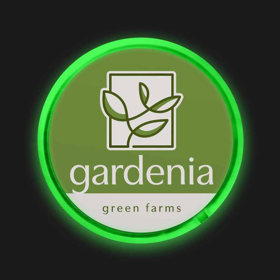 Light Button Pins - Imprint Now - NZ