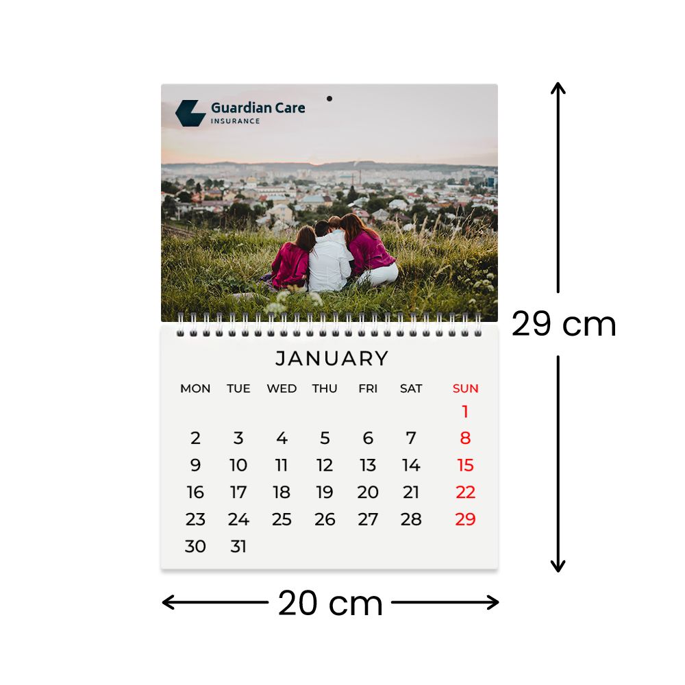 20 cm W x 29 cm H