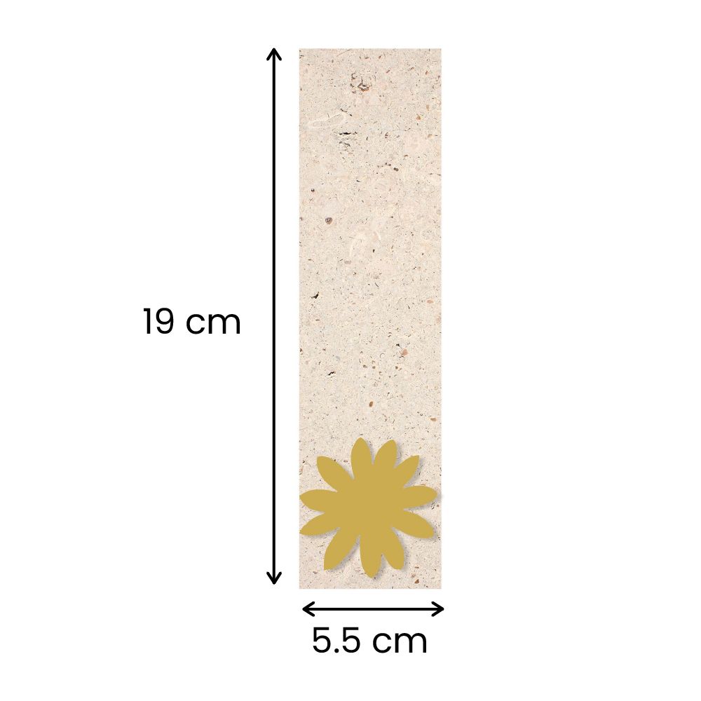 5.5 cm x 19 cm